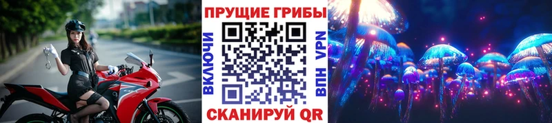 Псилоцибиновые грибы мицелий  мега зеркало  Красноуральск 